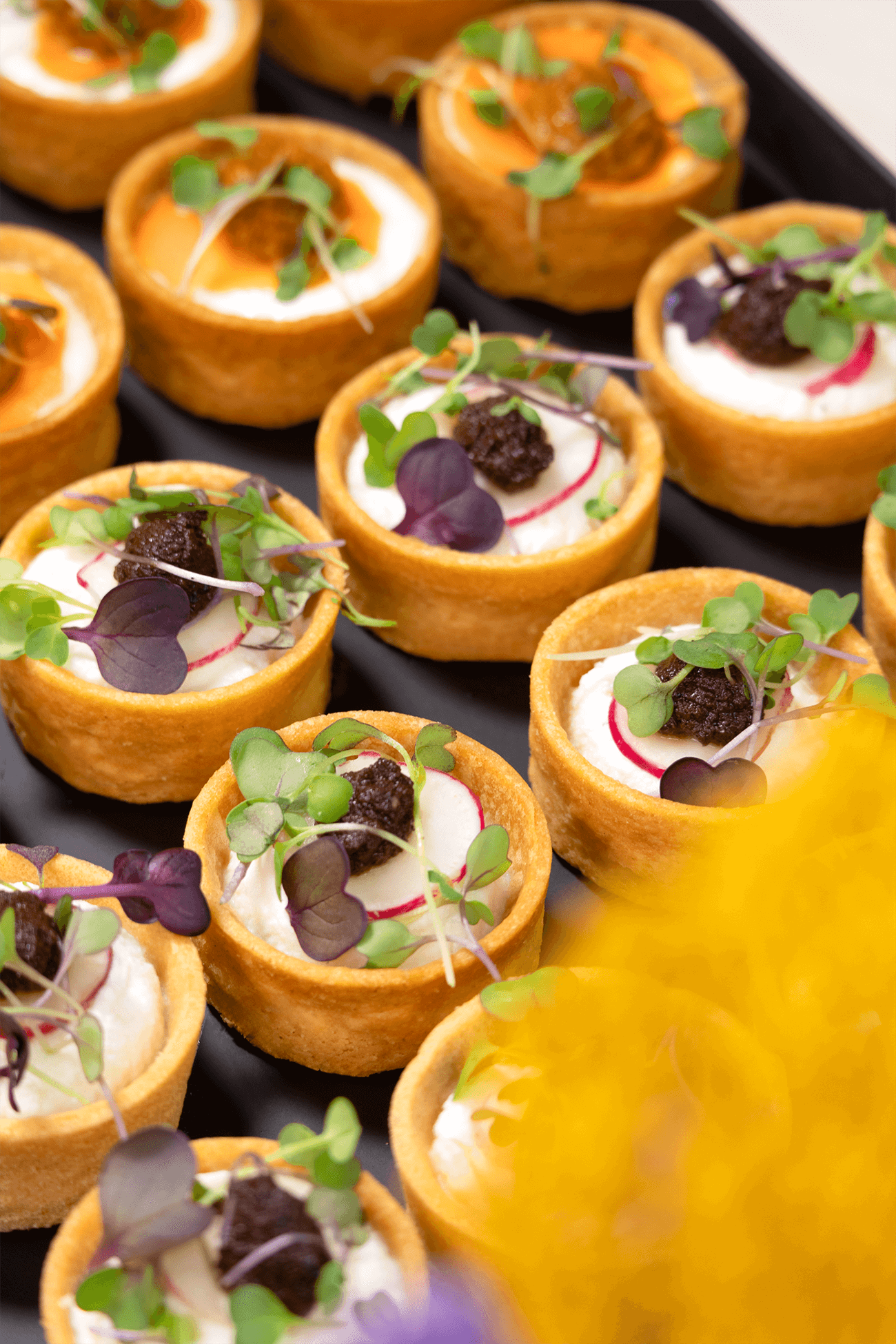 24 Bouchées Mini Tartelettes - Micro Pousses Chèvre Basilic & Radis Ricotta